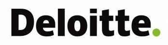 DELOITTE FINANCE (TS)